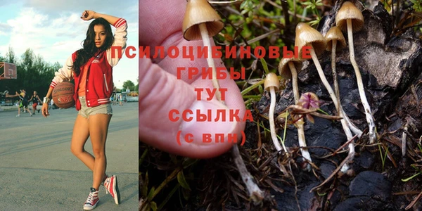 первитин Алзамай